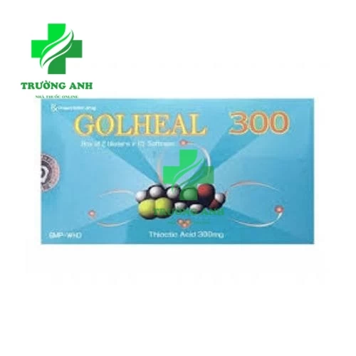 Golheal 300 - Thuốc điều trị rối loạn cảm giác hiệu quả của DP Nam Hà